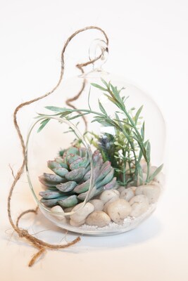 Lovely Whimsical Glass Terrarium with Artificial Succulents and Plants in Light Greens and Blue Tones - image6